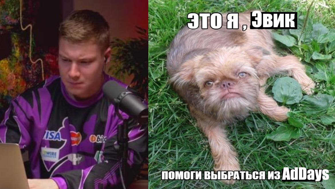 Медиа из публикации канала high profit — low life