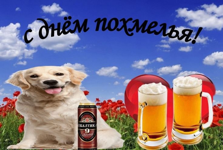 Медиа из публикации канала high profit — low life
