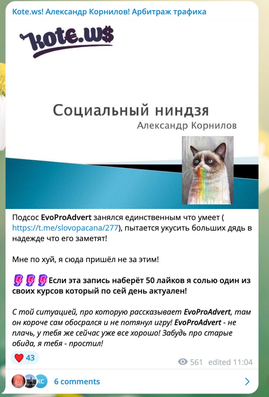 Медиа из публикации канала high profit — low life