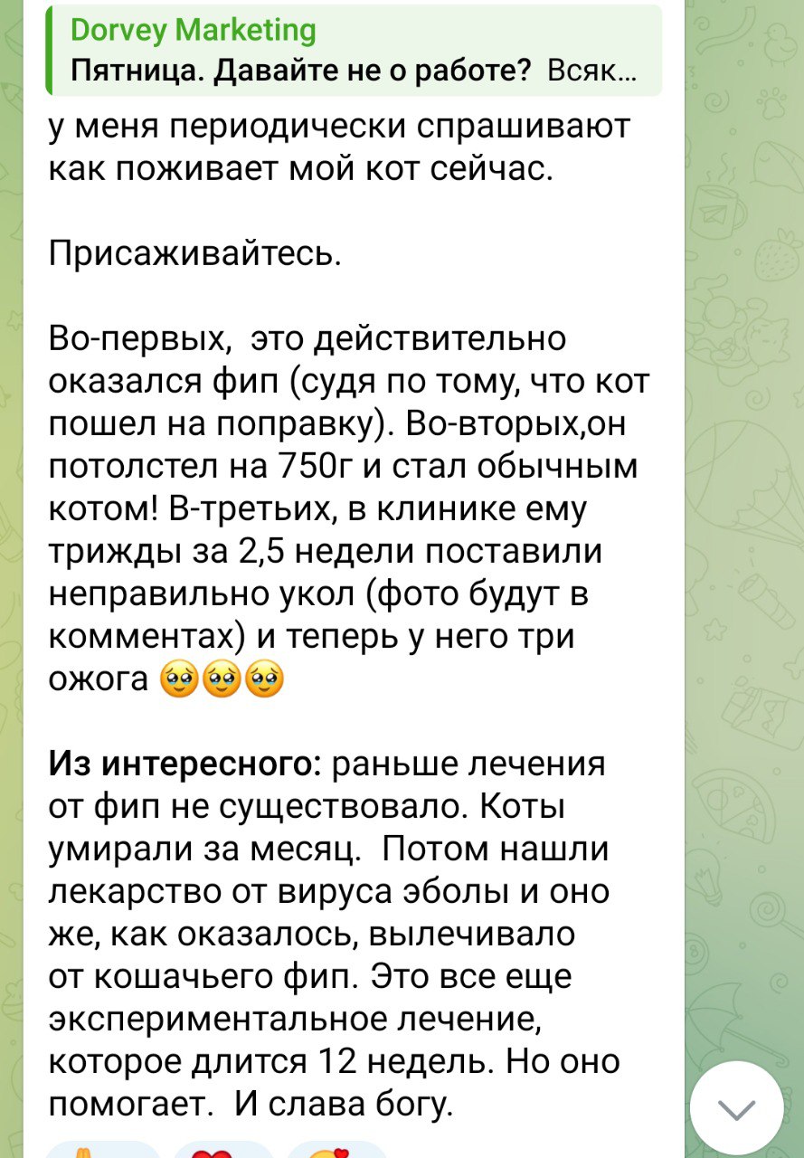 Медиа из публикации канала high profit — low life