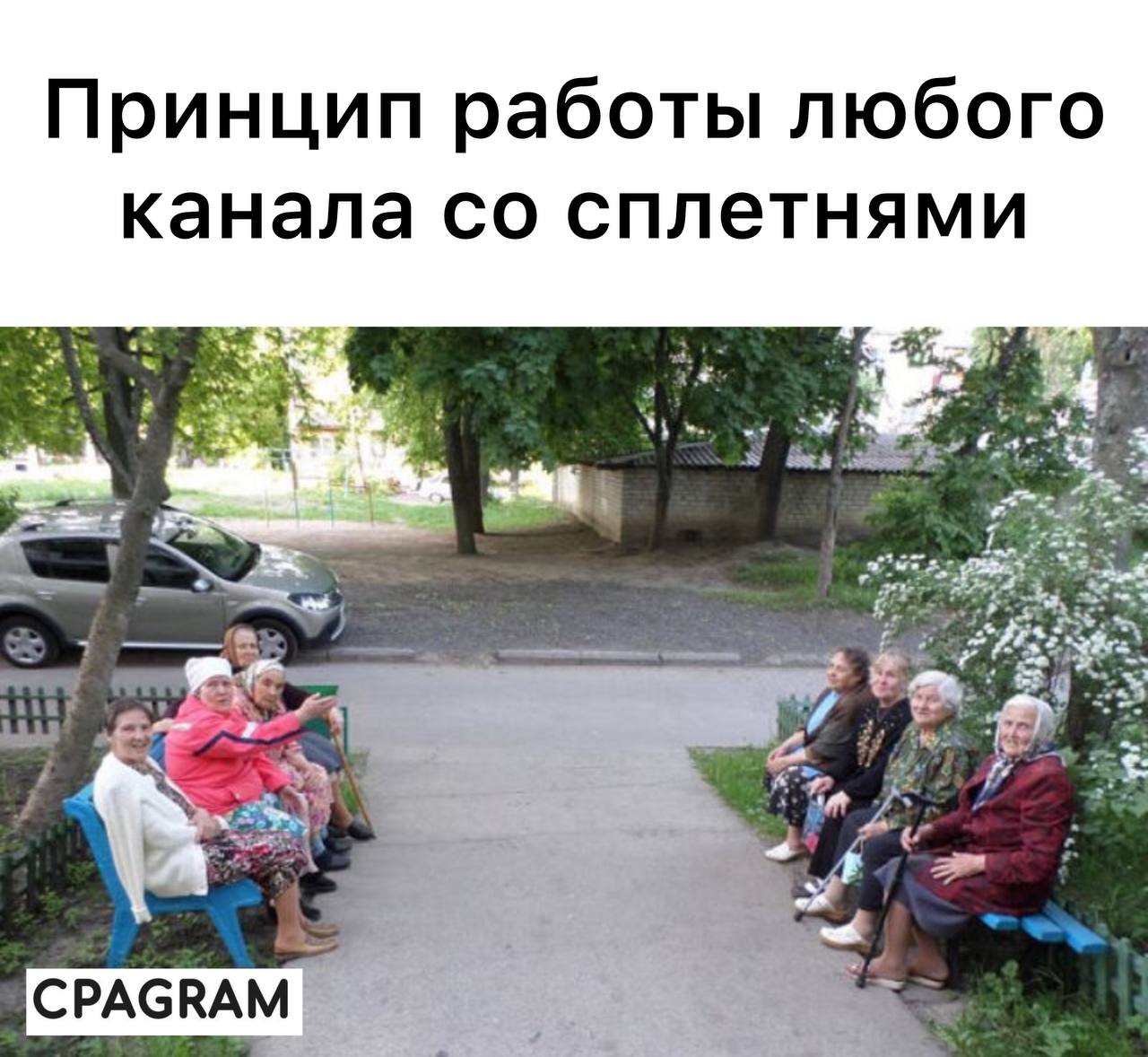 Медиа из публикации канала high profit — low life