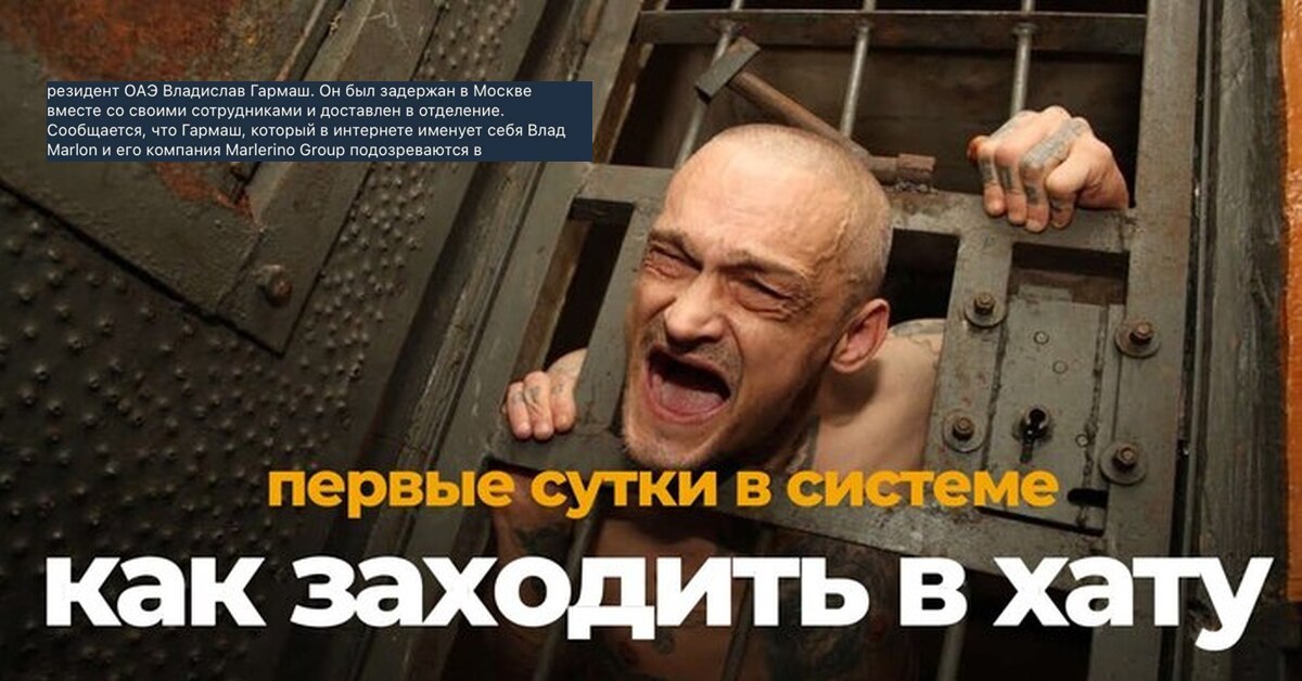 Медиа из публикации канала high profit — low life