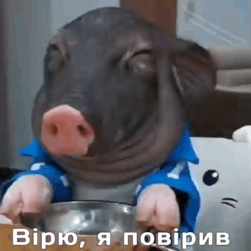 Медиа из публикации канала high profit — low life