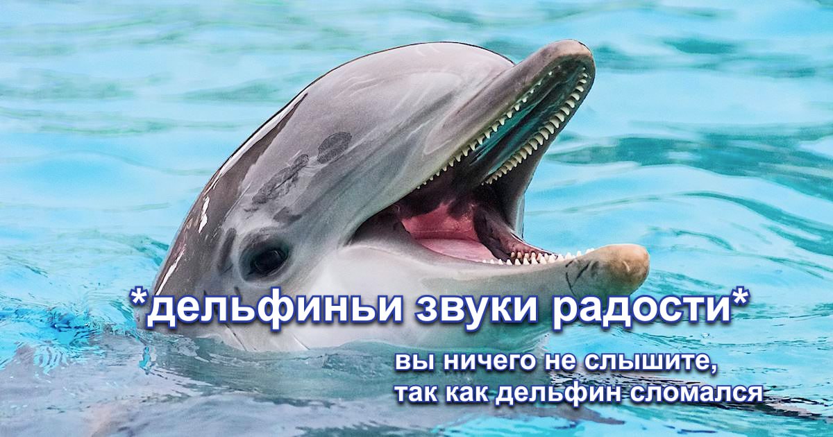 Медиа из публикации канала Арбитреш