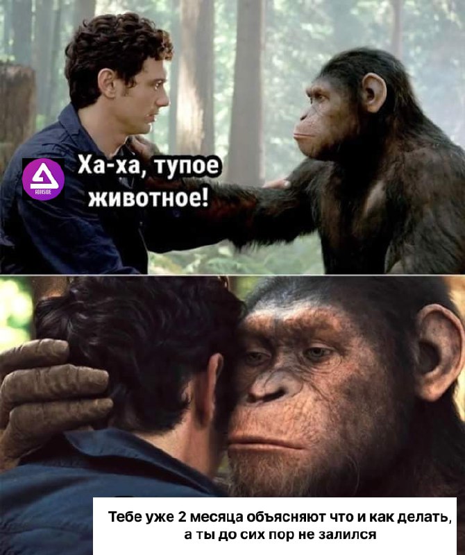 Медиа из публикации канала Арбитреш